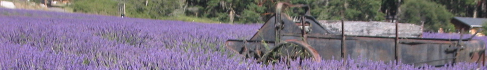 carscaddon.com header image 2